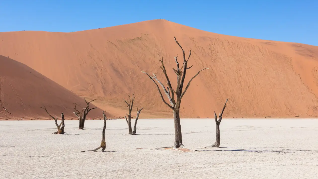 Deadvlei