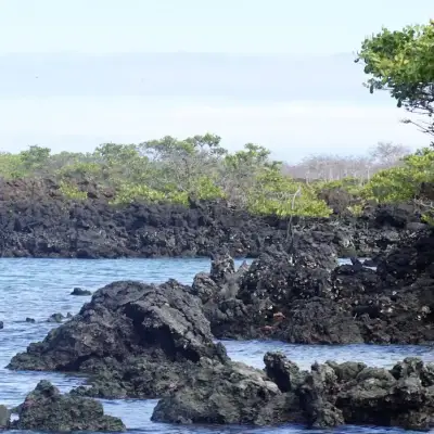 Isabela, rochas vulcânicas