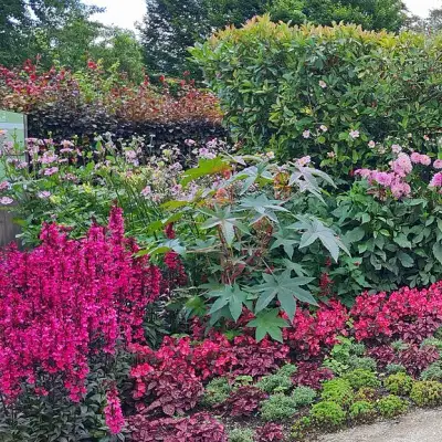 Giverny, o jardim