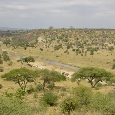 Parque Nacional de Tarangire